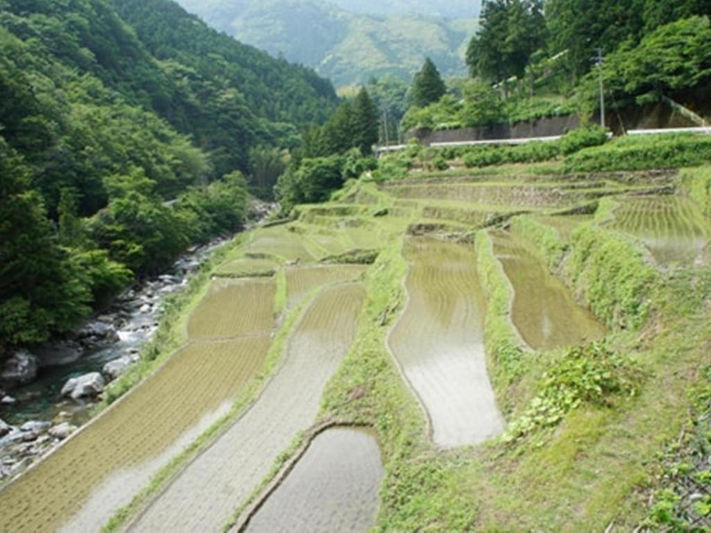 土佐山酒店 Kōchi 外观 照片